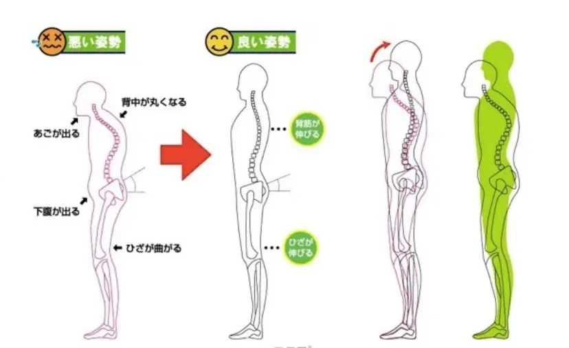 足底アーチの重要性とエステ